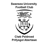 斯旺西大学 vs 拉内利