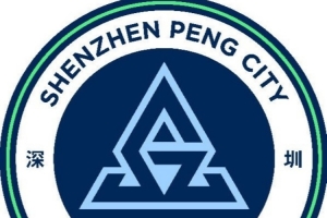 新鹏城官方宣布：夏合扎提租借加入陕西联合，胡家进租借加入定南赣联