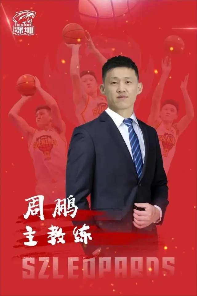日本对阵瑞典