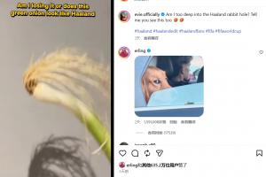 爆火！网友以“一根葱”cos哈兰德，哈兰德亲自回应，获超600万点赞