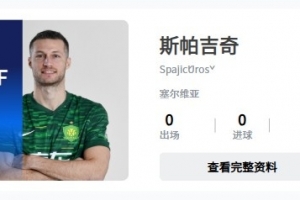 补报已完成？中足联官网披露，斯帕吉奇加盟国安队