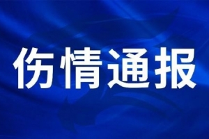 刘奕鸣在训练中手掌骨折，手术顺利结束